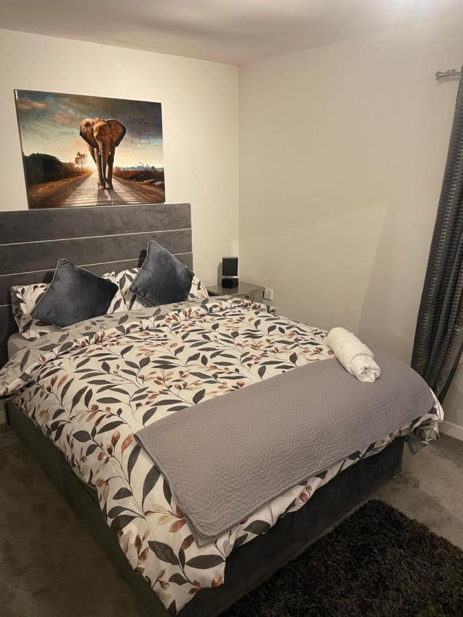 Fantastic Full 3 Bedroom Modern Apartment Belfast Buitenkant foto